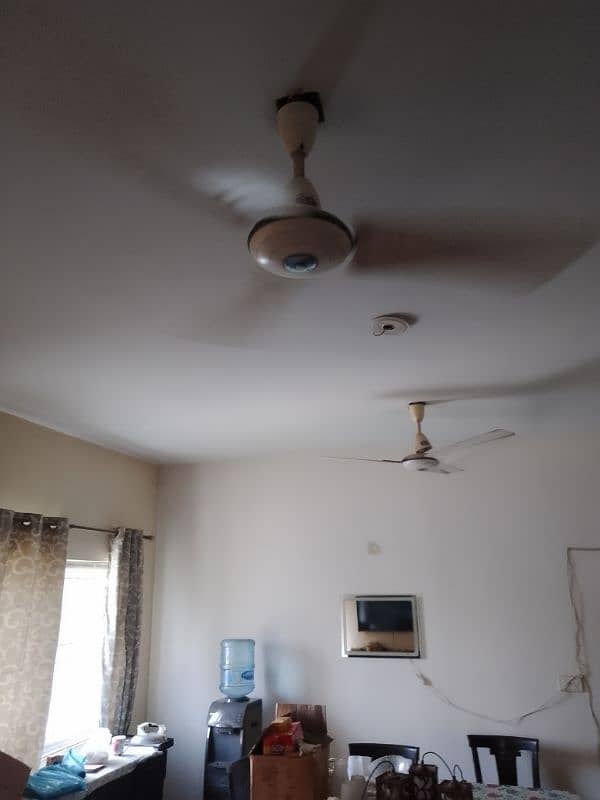 Ceiling Fans 4