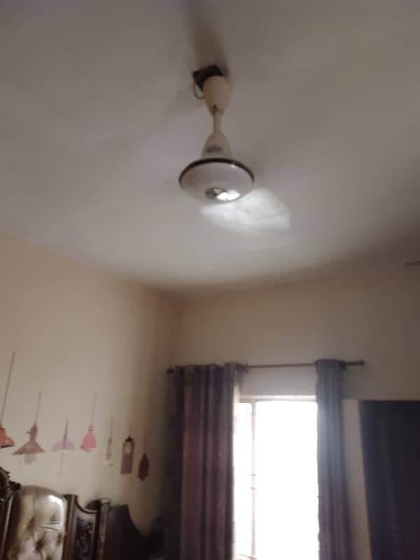 Ceiling Fans 5