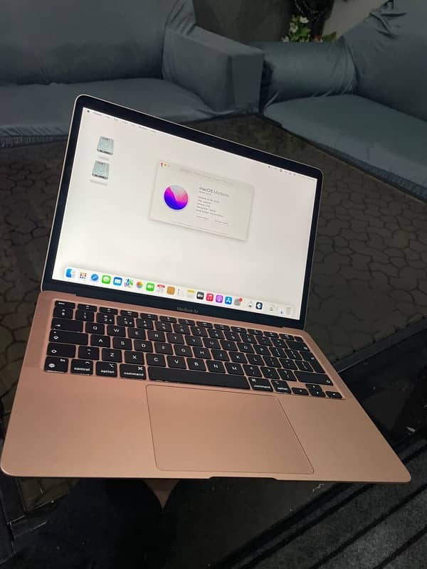 Macbook air m1 2020 8,256 just true tone off 0