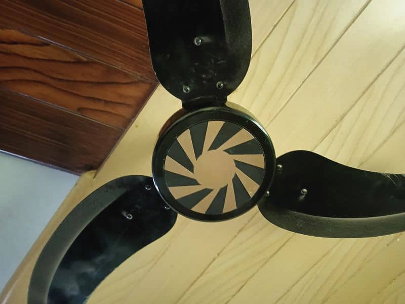 Sonex Ceiling Fan Daizy Black Gold 56'' Copper 2