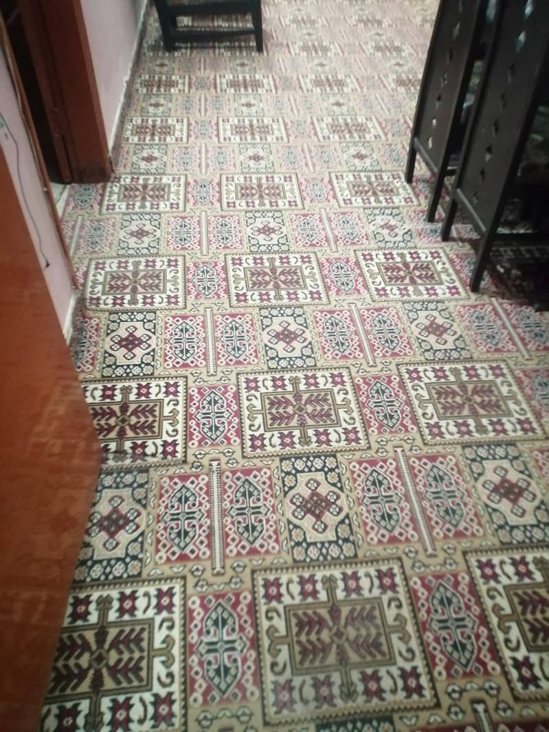 Carpet in good condition 1