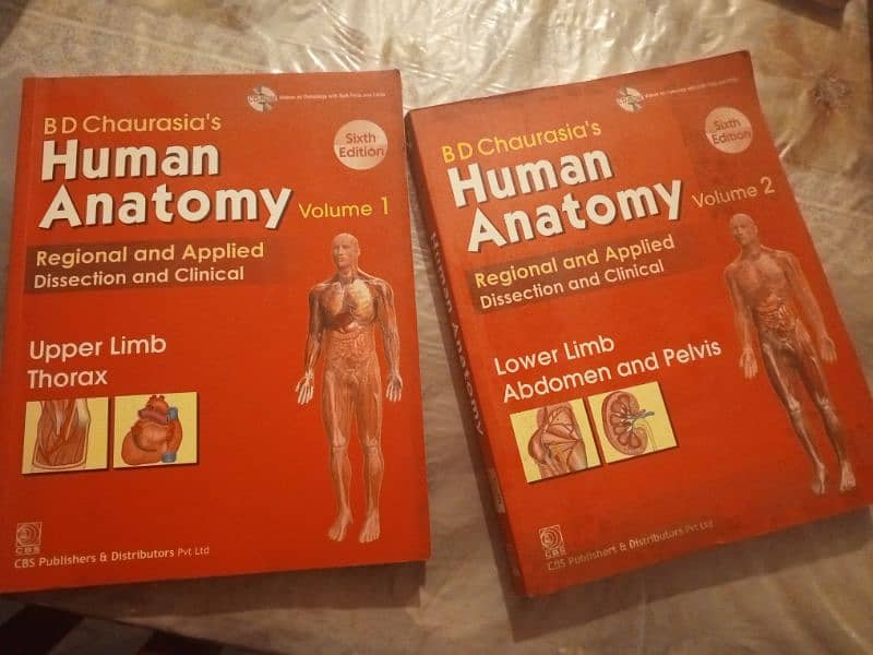 human anatomy 0