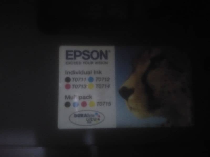 Epson dx4400 1