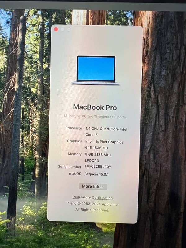 MacBook Pro 13-inch 1