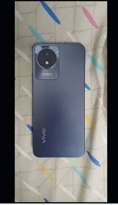 vivo