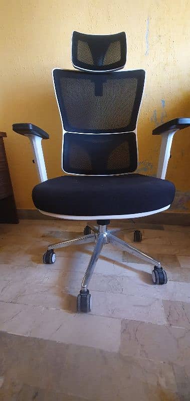 Study Chair 1