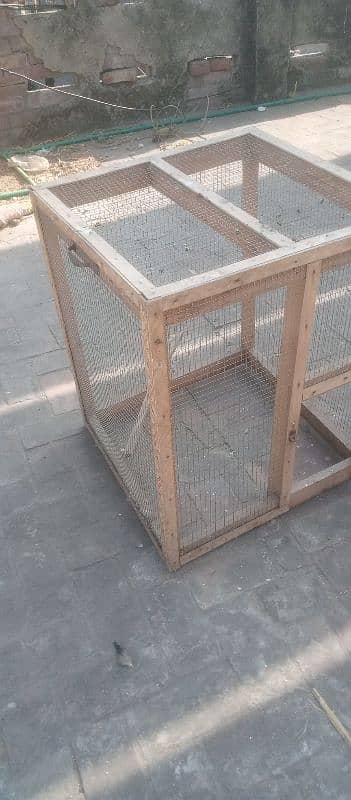 Cage & Aseel breeder madi 7