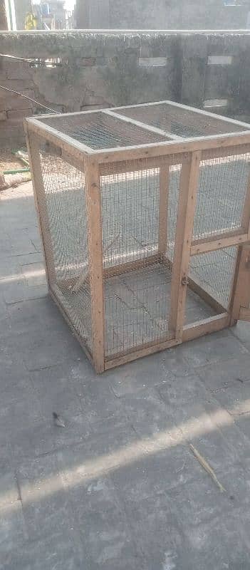 Cage & Aseel breeder madi 10