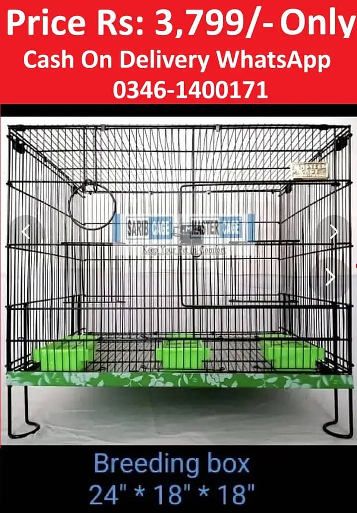 Bird Cage Pinjra Parrot Bajri Australian Tota Pahari Raw Green Cat Dog 9