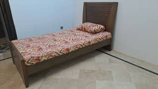 Single Bed with Molty Foam mattress