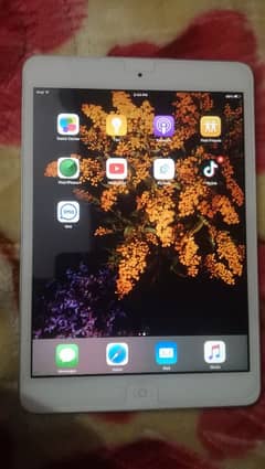 Ipad mini 1  03254591821