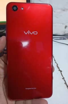 Vivo