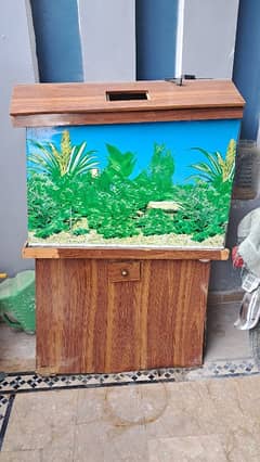 fish Aquarium