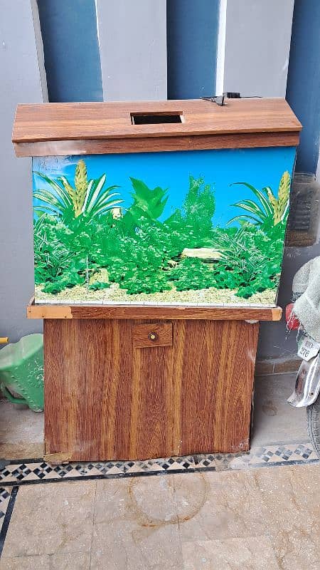 fish Aquarium 0