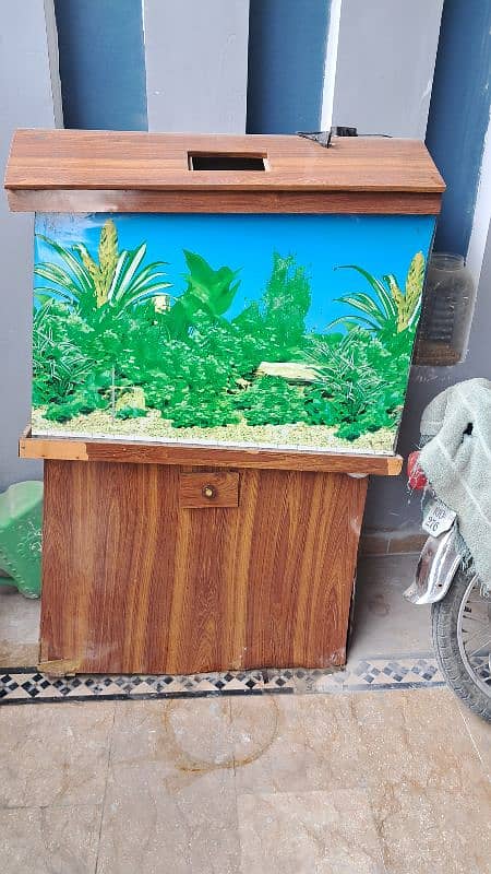 fish Aquarium 1