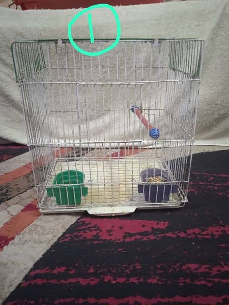 Cage, Studio cage, Seed cleaner, box, love bird, Creamino, Albino. 1