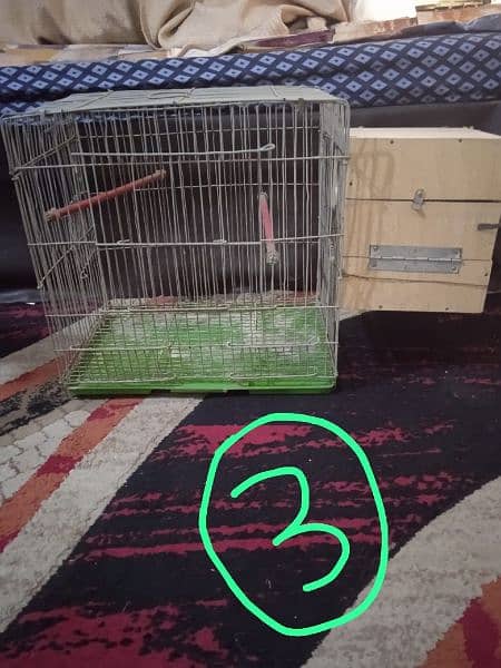 Cage, Studio cage, Seed cleaner, box, love bird, Creamino, Albino. 2