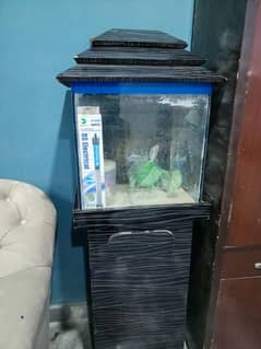 Fish aquarium Fish Tank, Fish aquarium with all accessories