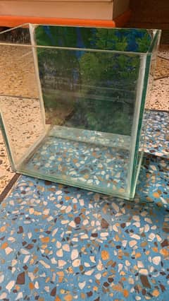 Fish Aquarium (Small)