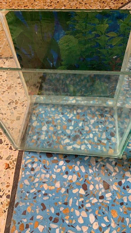 Fish Aquarium (Small) 2