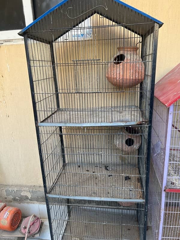 cags for sale for all type off birds 1