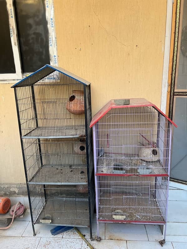 cags for sale for all type off birds 2