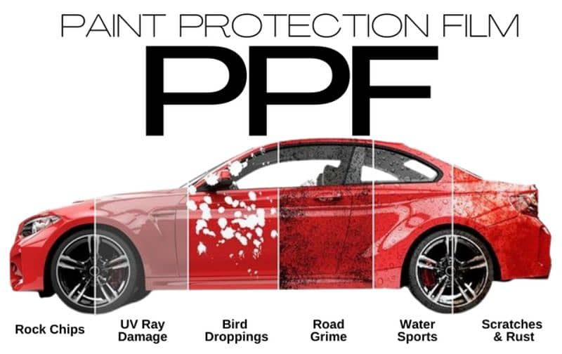 PPF and Wraps 0