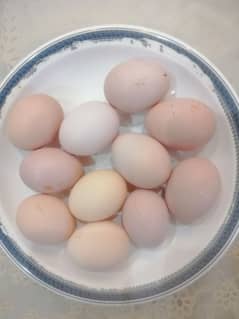 Desi Eggs