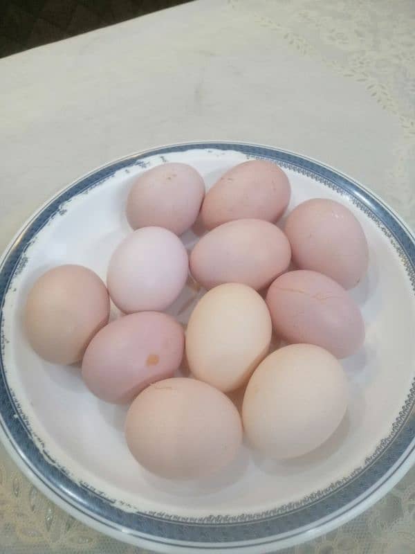 Desi Eggs 1