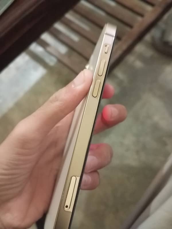 iphone 12 pro golden 128gb 10/10 1