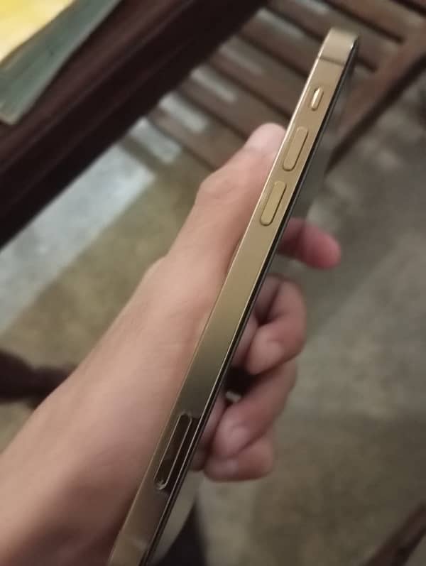 iphone 12 pro golden 128gb 10/10 4