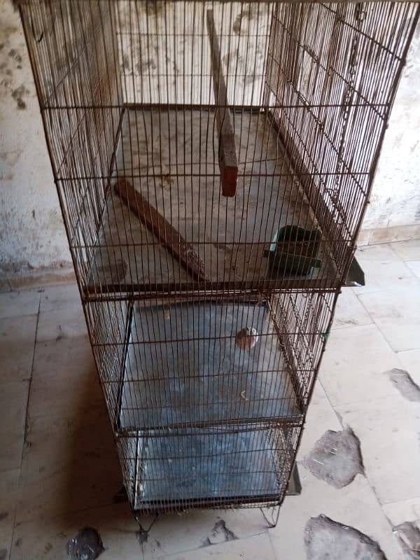 cage for sale 1