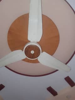 sk fan magnum model