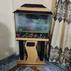 Fish Aquarium