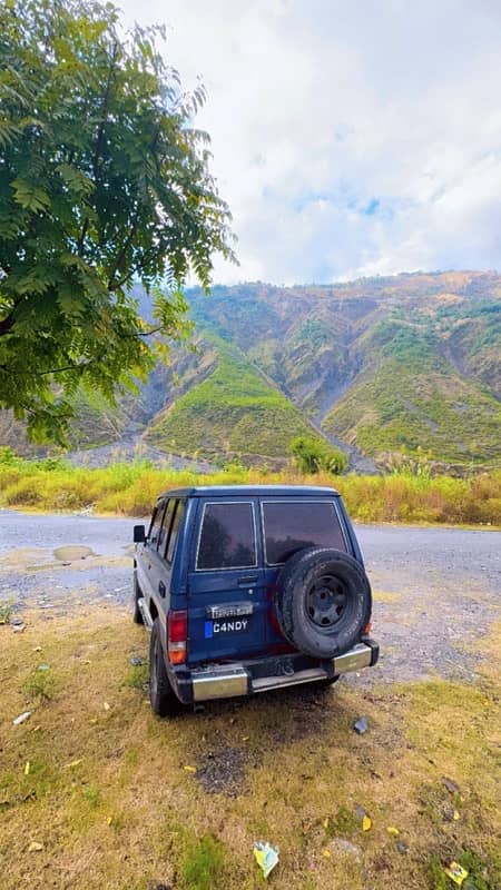 Toyota Land Cruiser 1991 0