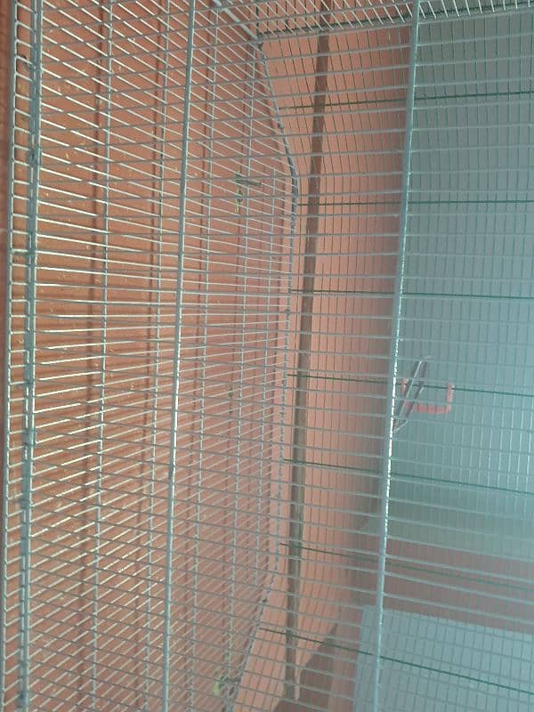 only cage add  tray and food box birds kyliya contact karyen l 2