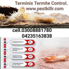 Deemak/Termite/control/pest control/dengue mosquito/communication