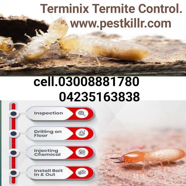 Deemak/Termite/control/pest control/dengue mosquito/communication 0