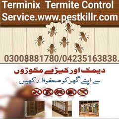 Termite/deemak/Pest