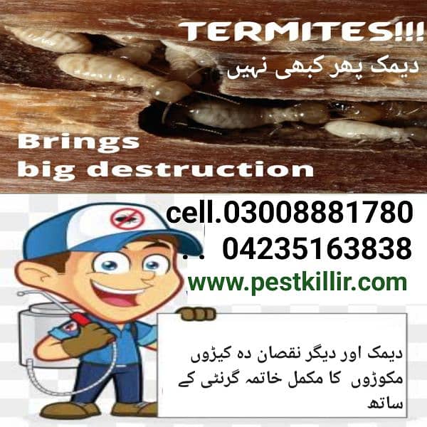 Termite/deemak/Pest control treatment series fumigation 2