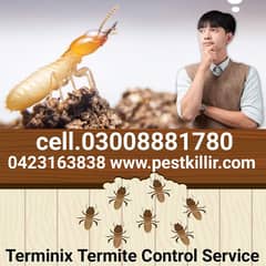 Termite/