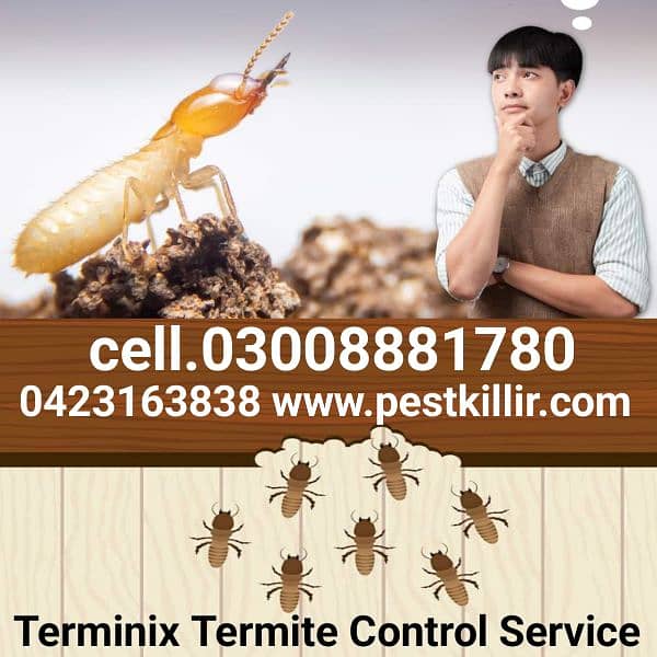 Termite/ deemak control/pest Control Treatment Service 0