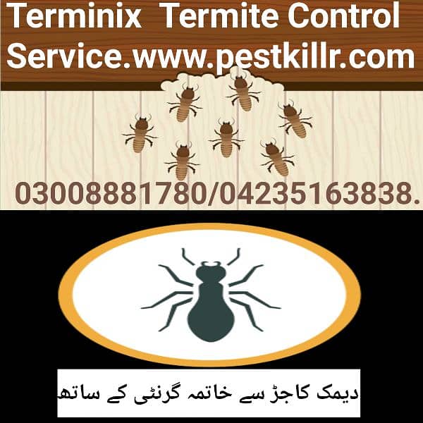 Termite/ deemak control/pest Control Treatment Service 2