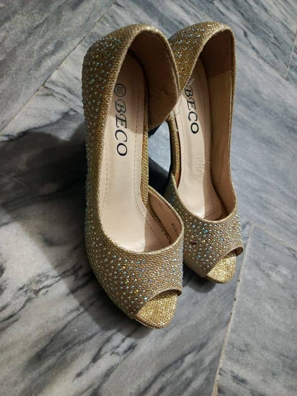 fancy shoes 1