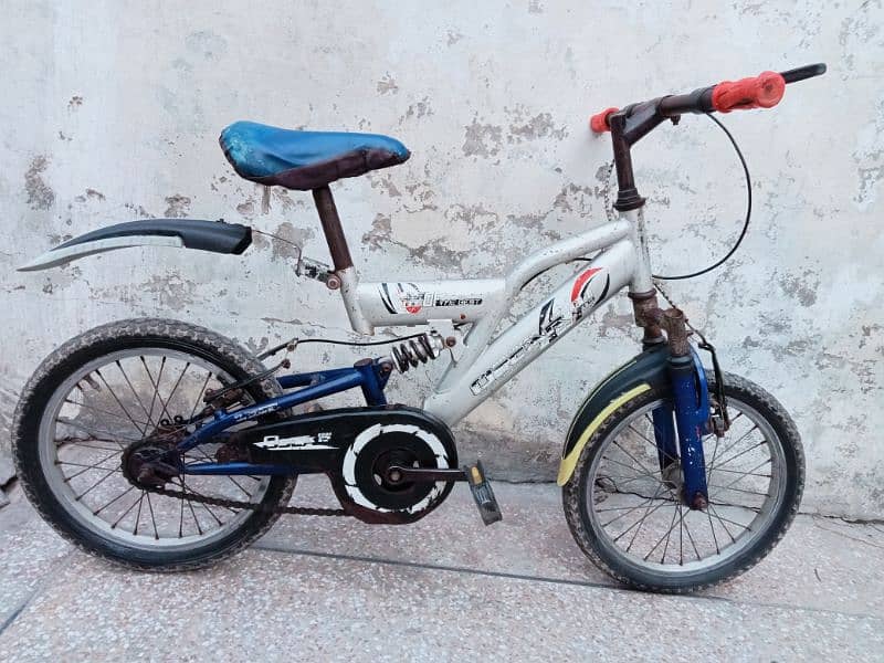 bicycle for kid 0