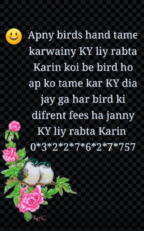 apny birds hand tame karwain Sirf Koch dinon main 0