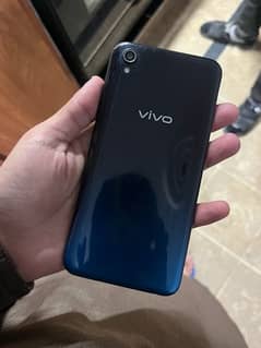 vivo