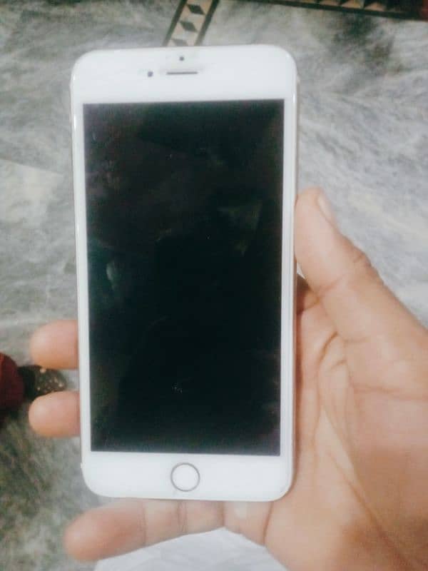 iPhone 6splus 13