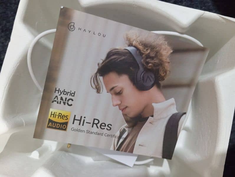 Haylou s30 headphones 10