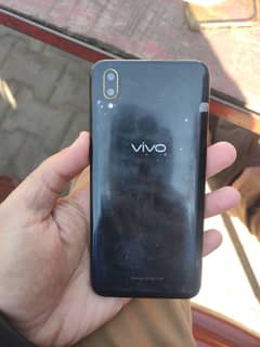 Vivo